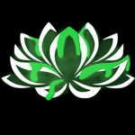 Alkalyd Productions