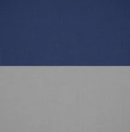 Braunschweig Oels Linien Bataillon Group Thumbnail