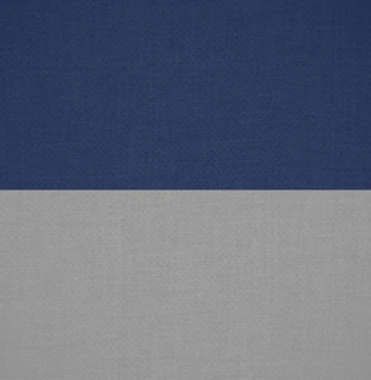 Braunschweig Oels Linien Bataillon Roblox group icon