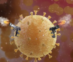 gordovirus