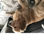 Super Benny