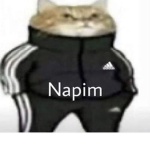 NAPİMCİLER Kraldır