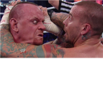 wwe roster fans