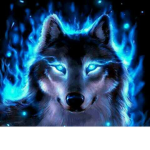 Wolfy Official Fan Group