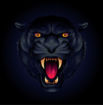 Panther Contractors