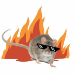 Rats!!! (Rats gang)