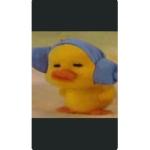 Duck. Duck.duck.duck.duck.duck.duck