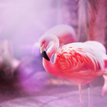 Flamingo squad arts and crafts