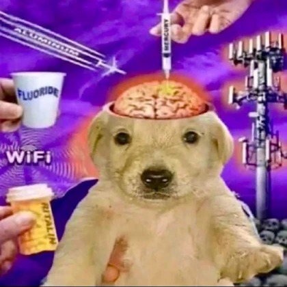 5g dog