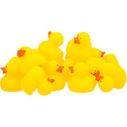 Ducky's tnt fun