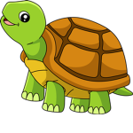 The turtle group,