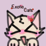 ~Exotic Cats~