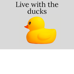 duck village