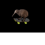Hedgehogs Studio
