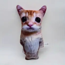 Shmort