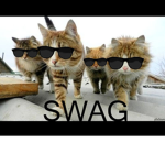 The Swag Society