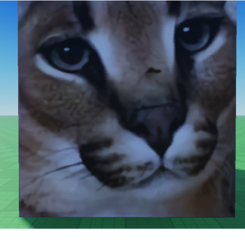 Best Hangout In Roblox With Microphone and Camera