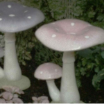 Faerify