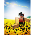 Summer dance acdemy