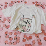 Cake’s Clothes