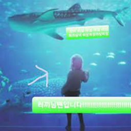 와 샌주
