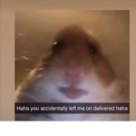Spaghetti <3