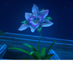 Starlight wonders