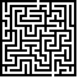 The Maze