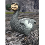 DodoFrimp