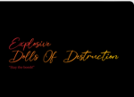 EXPLOSIVE DOLL$