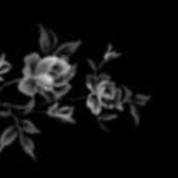 ♱❀༉