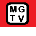 matthew gamer fun group
