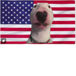 WalterTheDog Is. A TopG