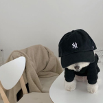 lili’s fan group