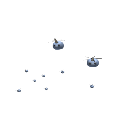 narwhal helicopters