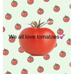 -Tomato fan group-