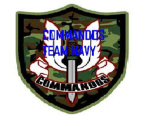 COMMANDOS TEAM  NAVY