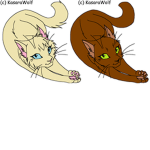 Warriorcats:Duskclan