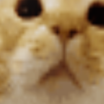 cow when it sees grass