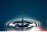 The Water Martial Artist