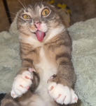 astonishedd