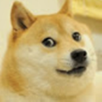 cool doge gang join if want