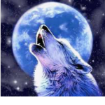 The wolves ~Howl~