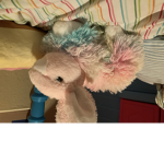 The cool roblox bunny