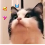 _sxd . cløthing_