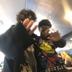 PEDVIX CLASSIX