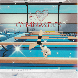 *Star Gymnastics Center*