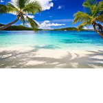 Tropical Café Roblox Server