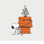 Christmas Countdown!!!