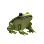 Team roblox froggy